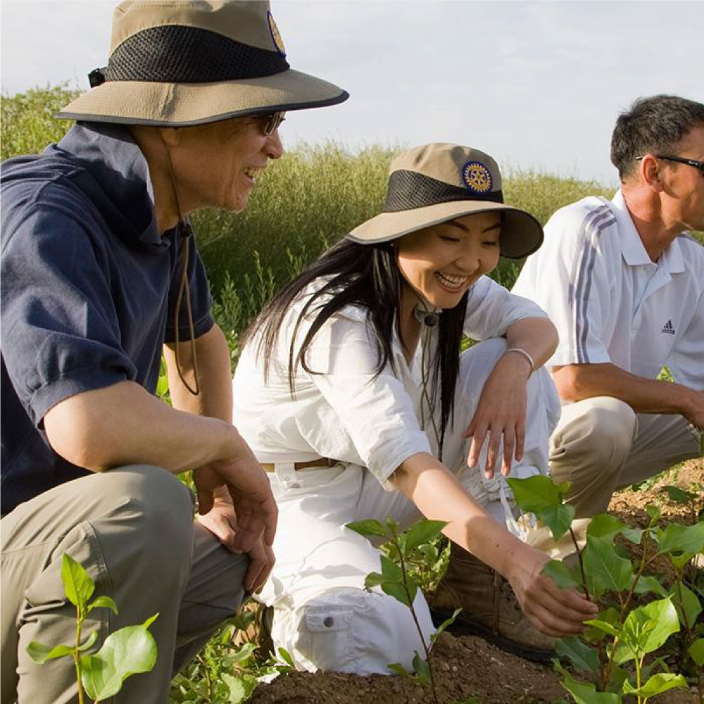 Overview-peep-of-action-700x700